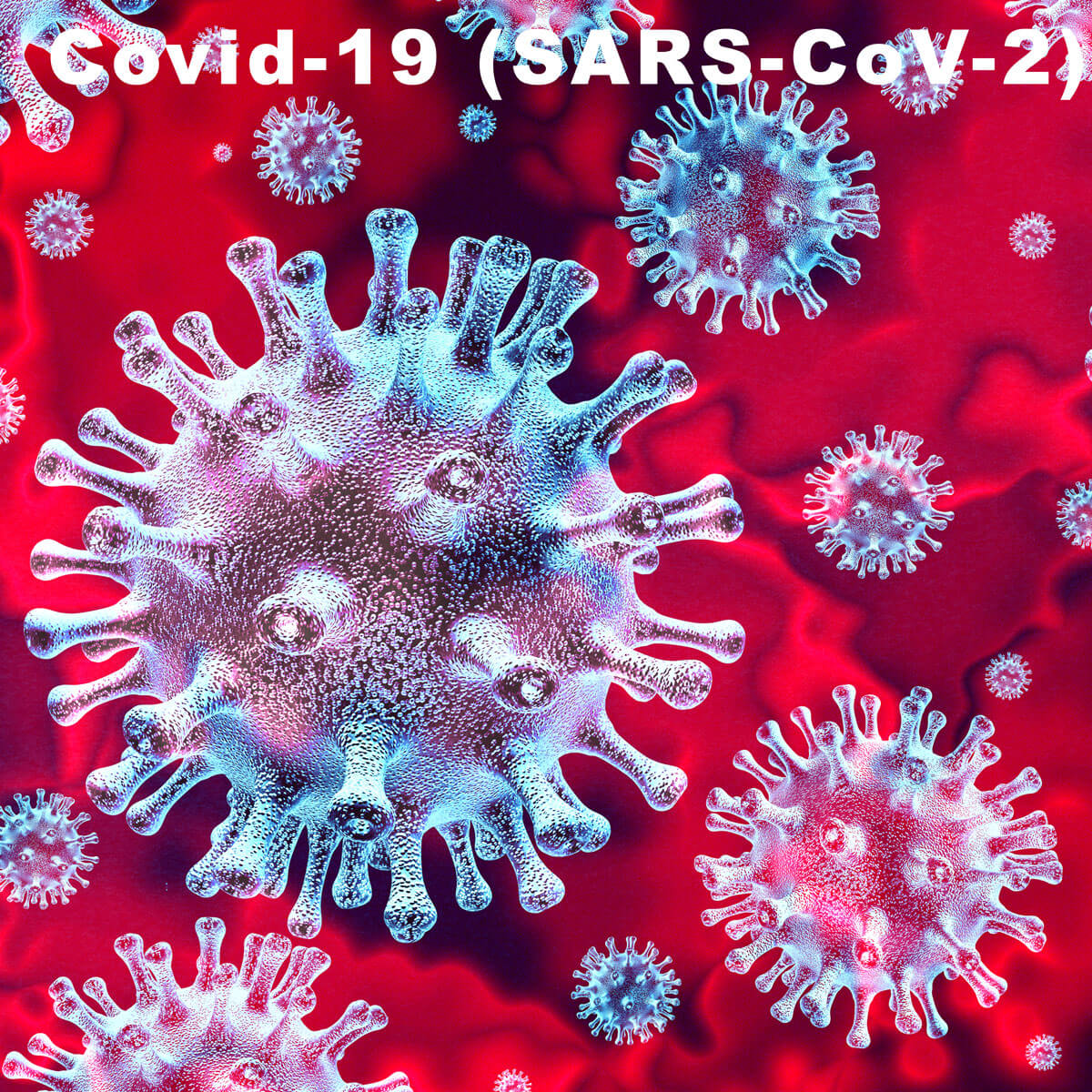 Covid-19 (SARS-CoV-2)